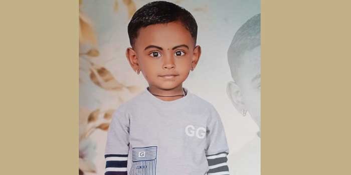 മുറ്റത്തുകളിക്കുന്നതിനിടെ കളിപ്പാട്ടം കൂട്ടിയിട്ട മരത്തിനിടയിലേക്കു പോയി, കളിപ്പാട്ടം എടുക്കുന്നതിനിടെ മൂർഖൻ പാമ്പിന്റെ കടിയേറ്റു, നാലര വയസുകാരിക്ക് ദാരുണാന്ത്യം